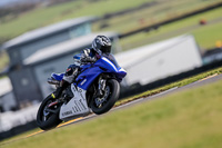 PJ-Motorsport-2019;anglesey-no-limits-trackday;anglesey-photographs;anglesey-trackday-photographs;enduro-digital-images;event-digital-images;eventdigitalimages;no-limits-trackdays;peter-wileman-photography;racing-digital-images;trac-mon;trackday-digital-images;trackday-photos;ty-croes